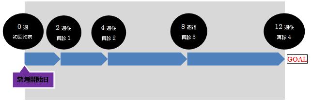 治療スケジュール