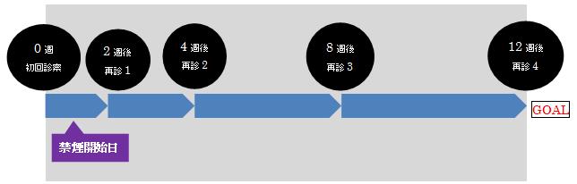 治療スケジュール